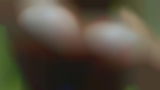Moncks Corner swingers